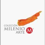 Proyecto coleccion milenio arte